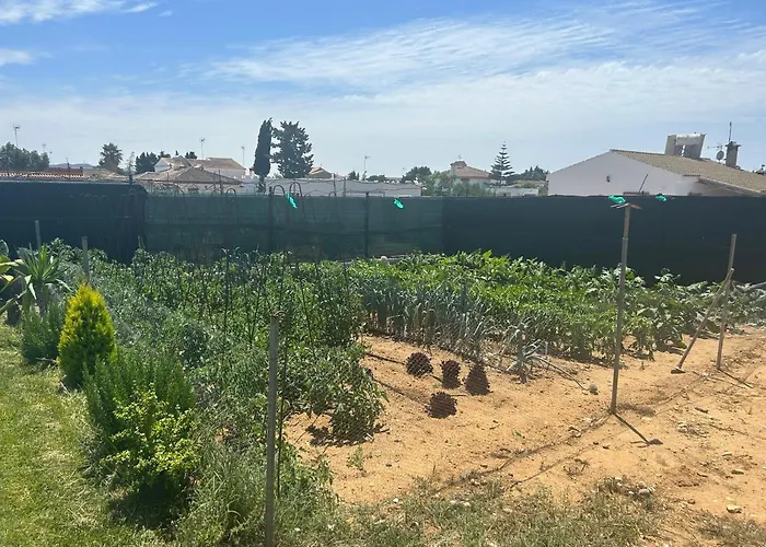 Holiday home Namaste Conil De La Frontera